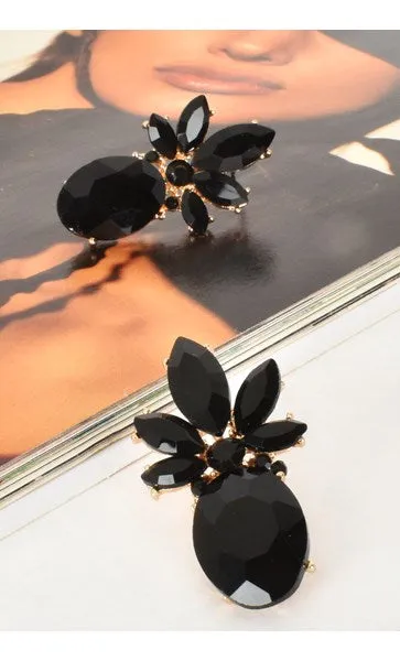 Eva Jewel Drop Earrings