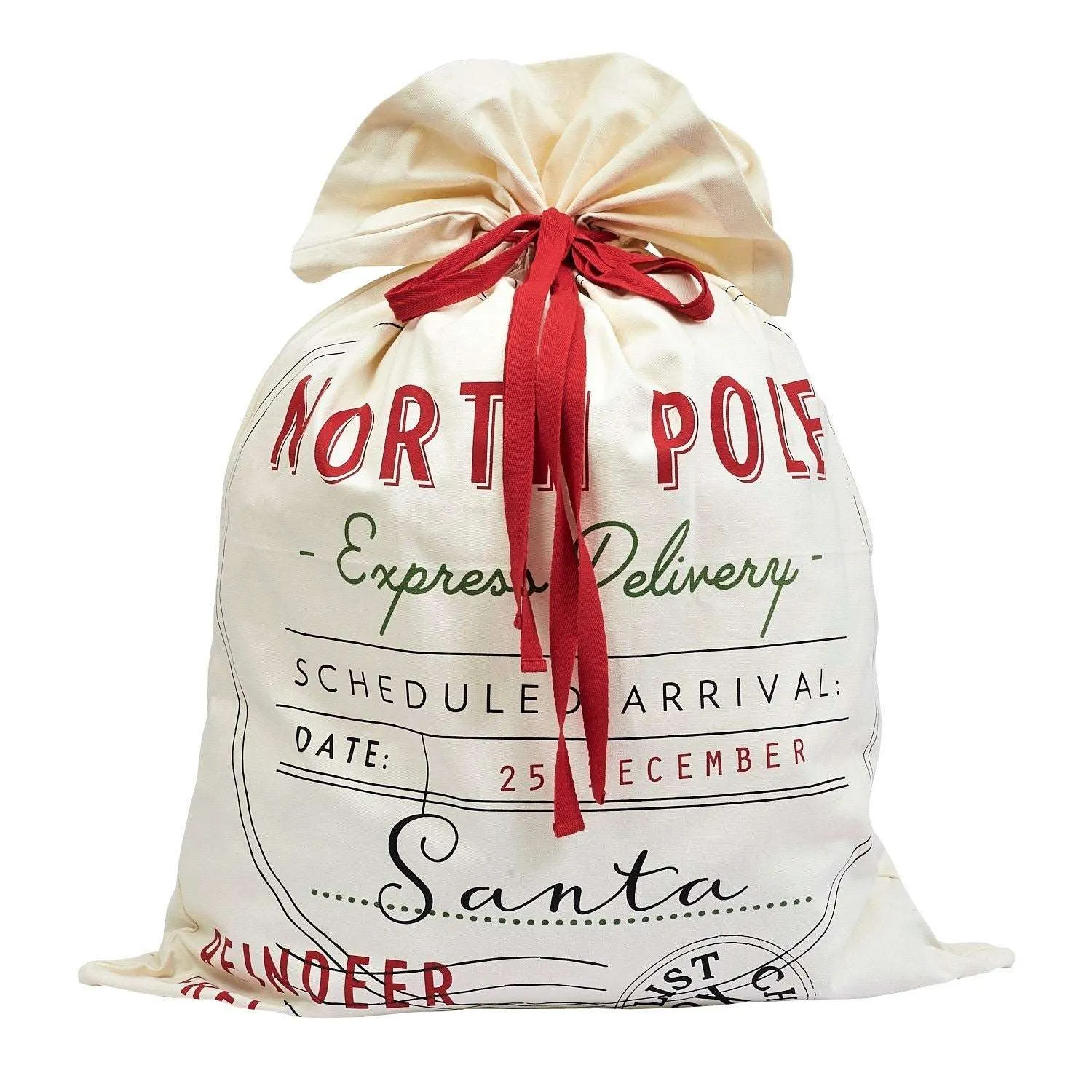 Express Delivery Santa Bag