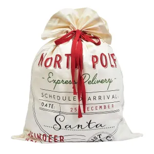 Express Delivery Santa Bag