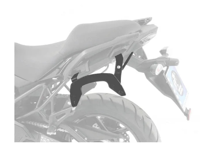 Kawasaki Versys 300 Carrier Sidecases - C-Bow