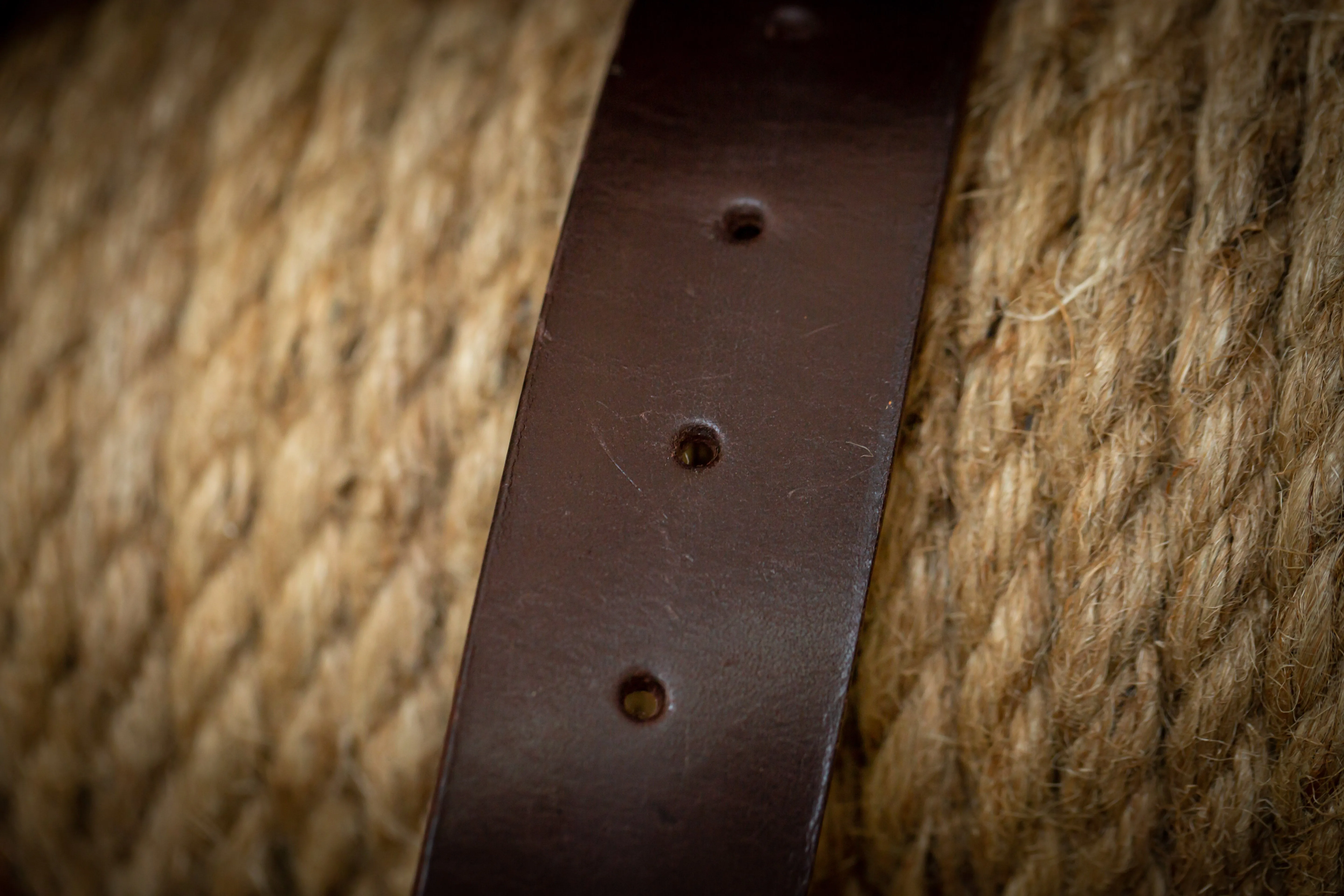 Ladies Belt - Choc
