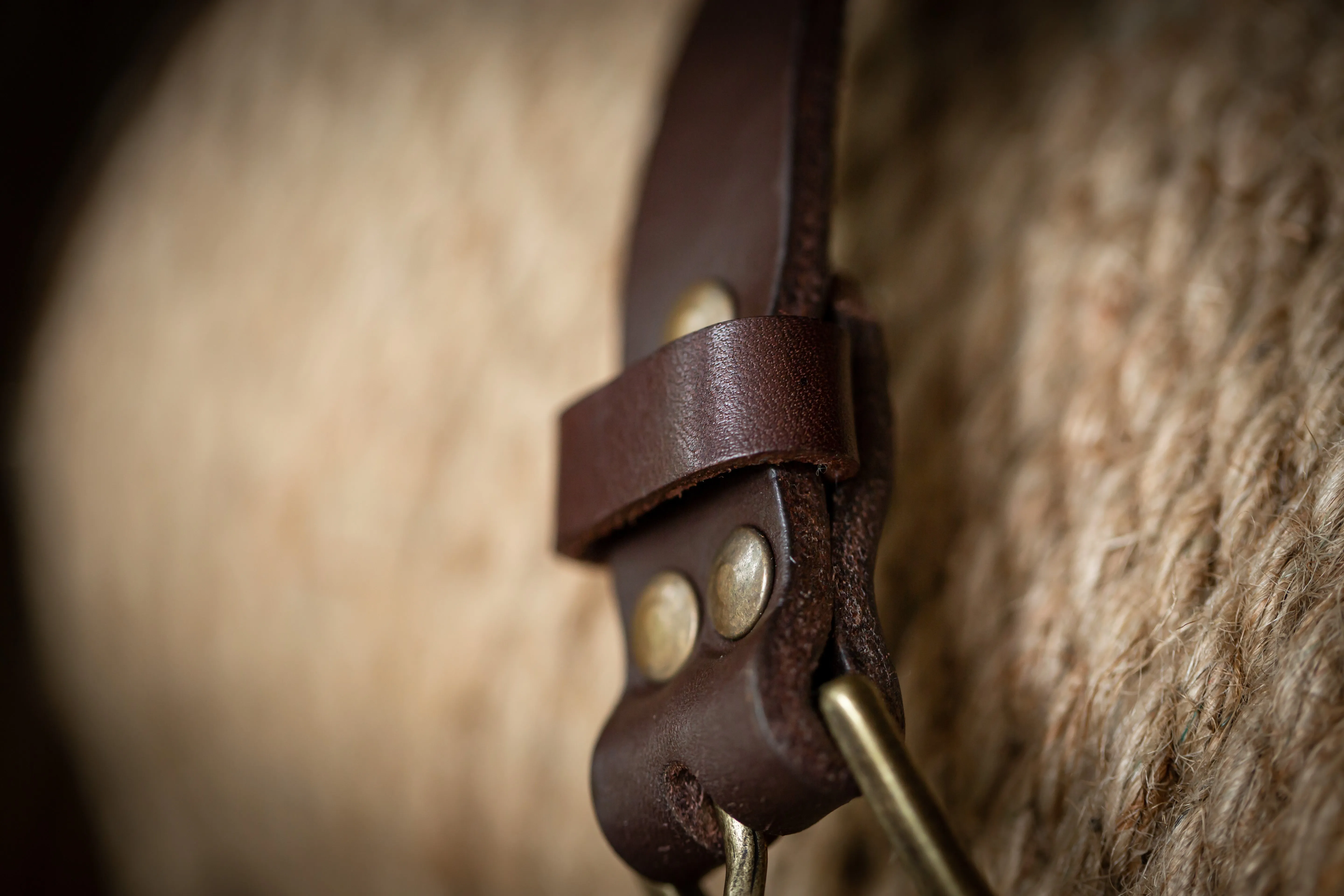 Ladies Belt - Choc