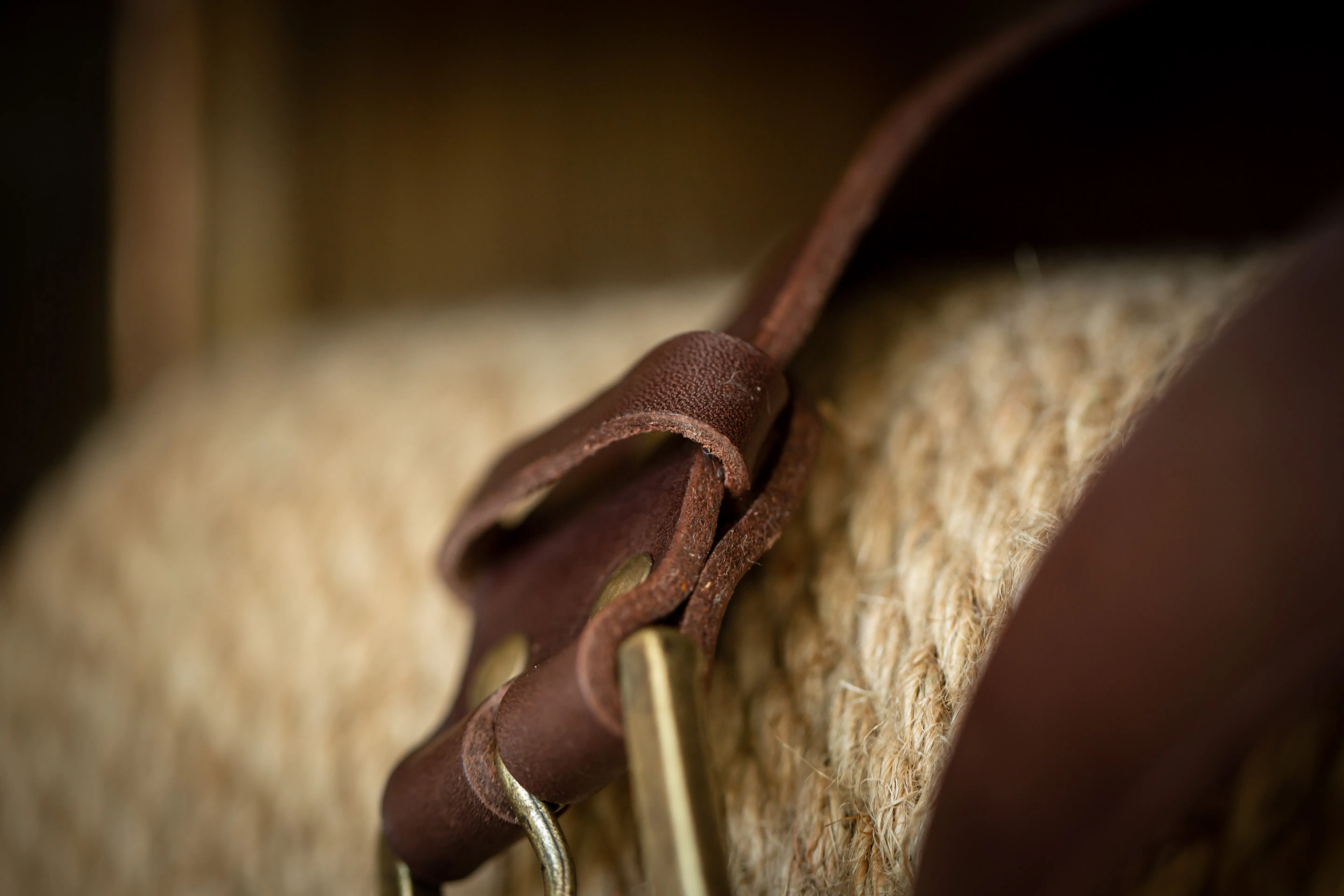 Ladies Belt - Choc