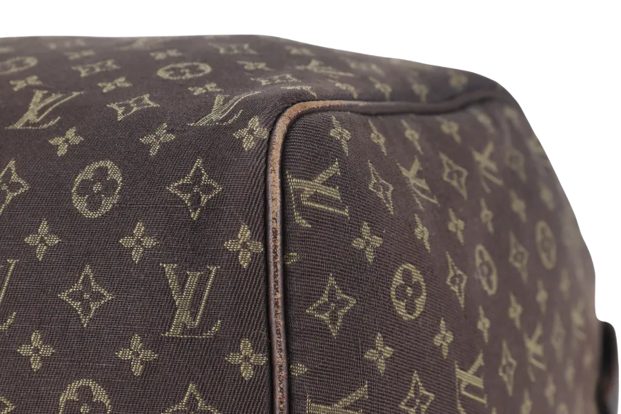 LOUIS VUITTON SPEEDY 30 (M95224) BROWN MINI LIN GOLD HARDWARE WITH DUST COVER
