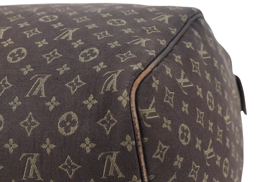LOUIS VUITTON SPEEDY 30 (M95224) BROWN MINI LIN GOLD HARDWARE WITH DUST COVER