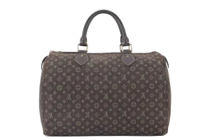 LOUIS VUITTON SPEEDY 30 (M95224) BROWN MINI LIN GOLD HARDWARE WITH DUST COVER