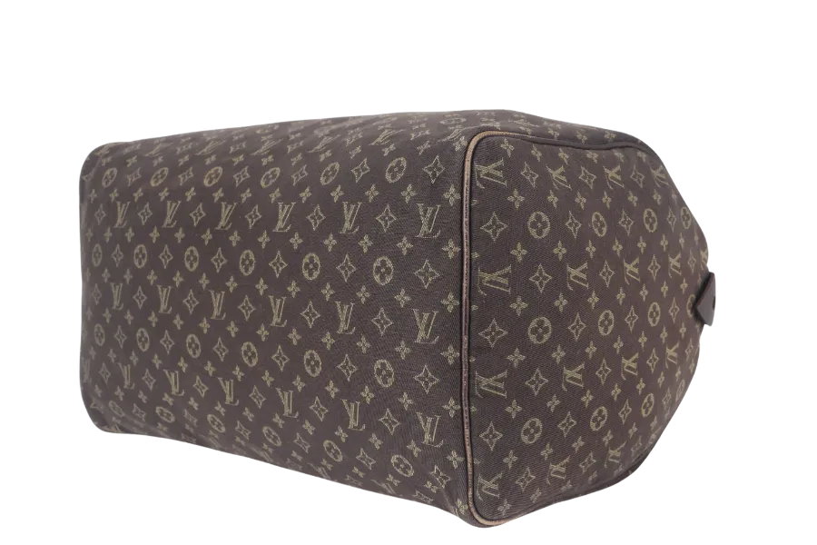 LOUIS VUITTON SPEEDY 30 (M95224) BROWN MINI LIN GOLD HARDWARE WITH DUST COVER