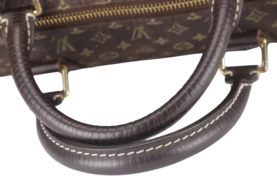 LOUIS VUITTON SPEEDY 30 (M95224) BROWN MINI LIN GOLD HARDWARE WITH DUST COVER