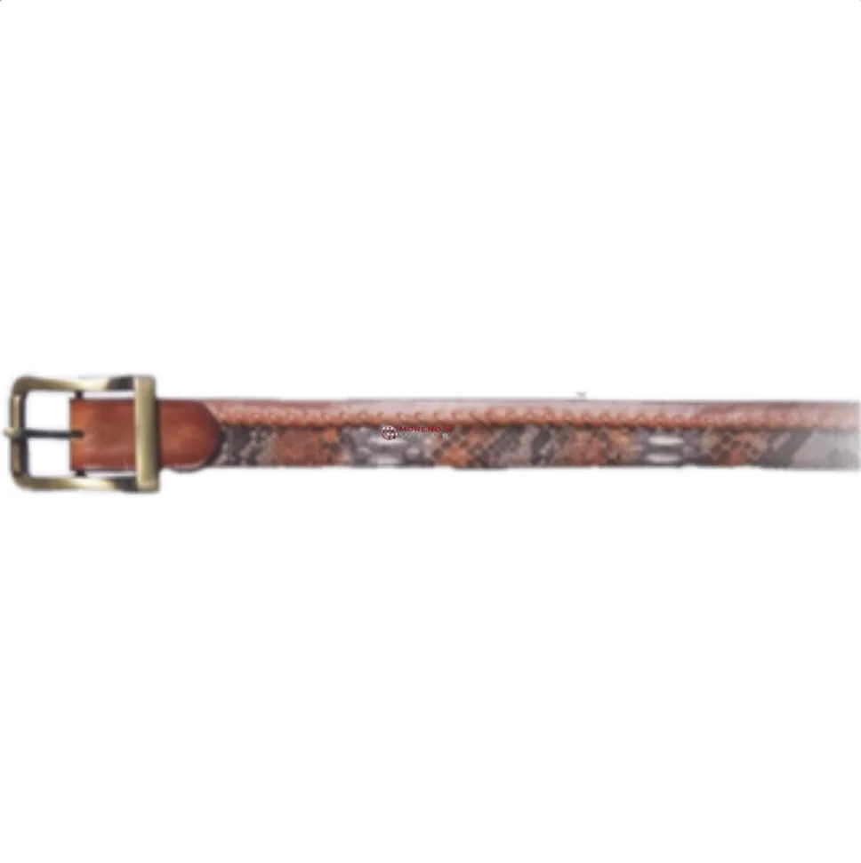 Men’s Los Altos Python Casual Belt