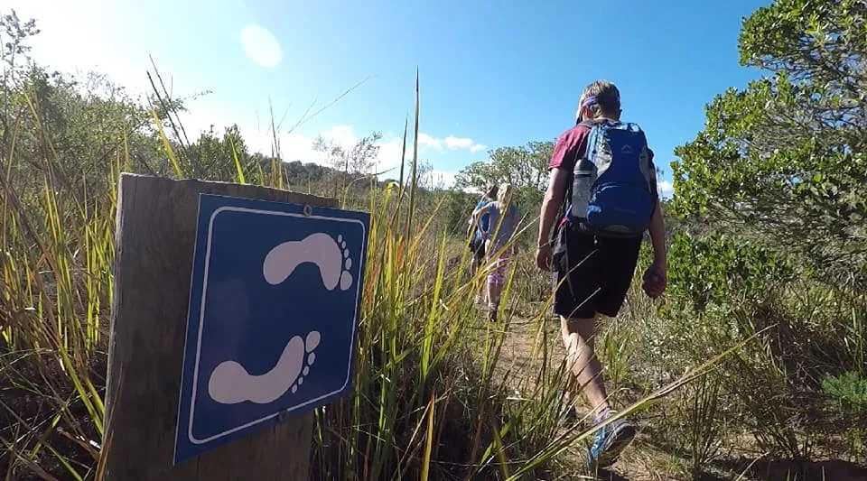 Multi Day Hiking Trails Garden Route