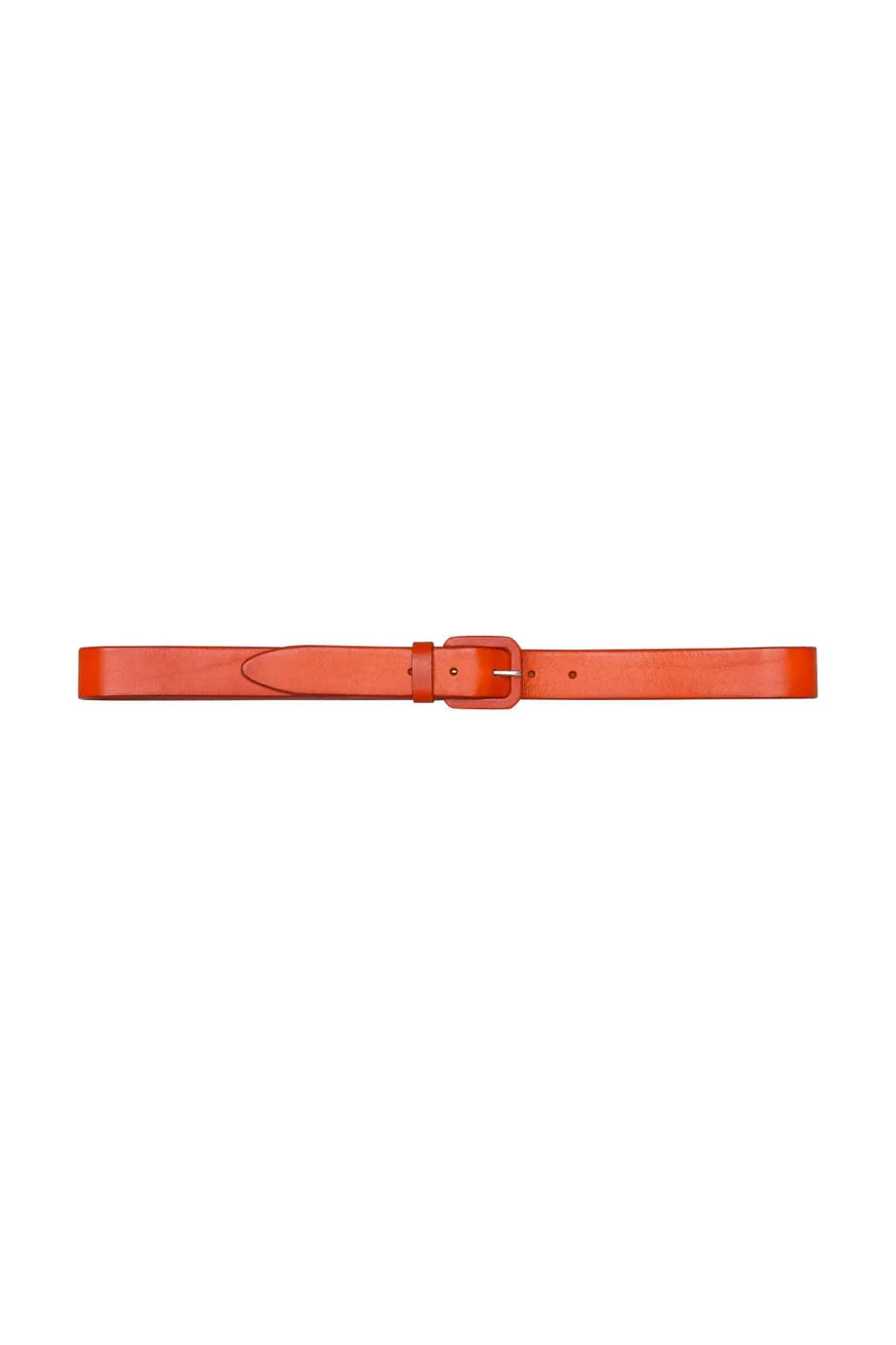 Olive Belt