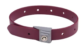 Polyurethane Locking Belt - BL-118-POLY, BL-124-POLY, BL-130-POLY, Bl-136-POLY, BL-142-POLY, BL-148-POLY, BL-154.-POLY, BL-160-POLY, BL-166-POLY, BL-172 & BL-178-POLY