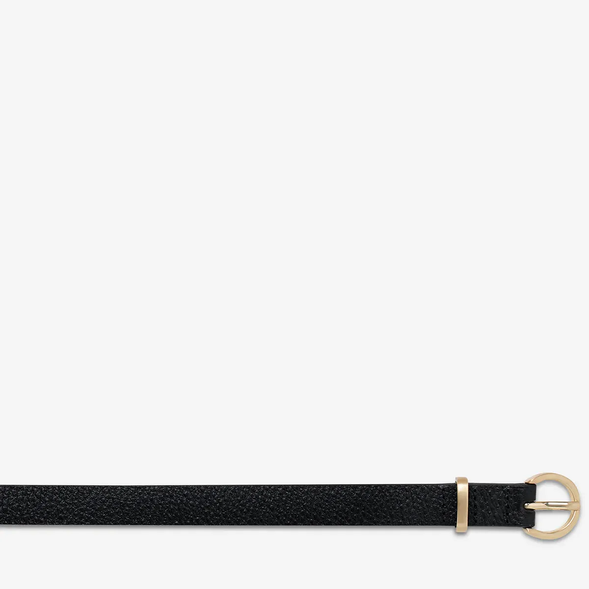 Status Anxiety II HAPPENS ALL THE TIME Belt - Black/Gold