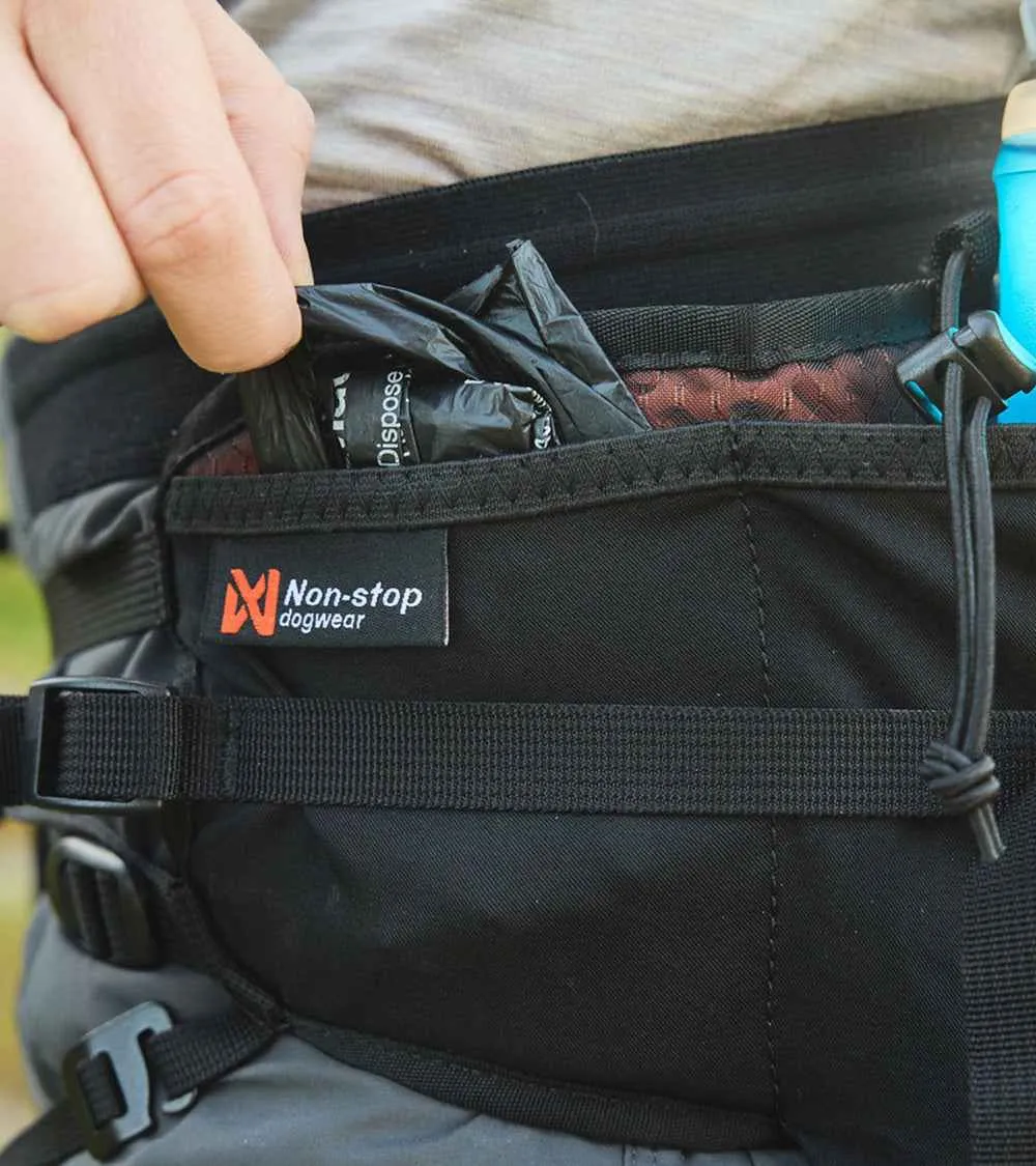 Trail Light Belt