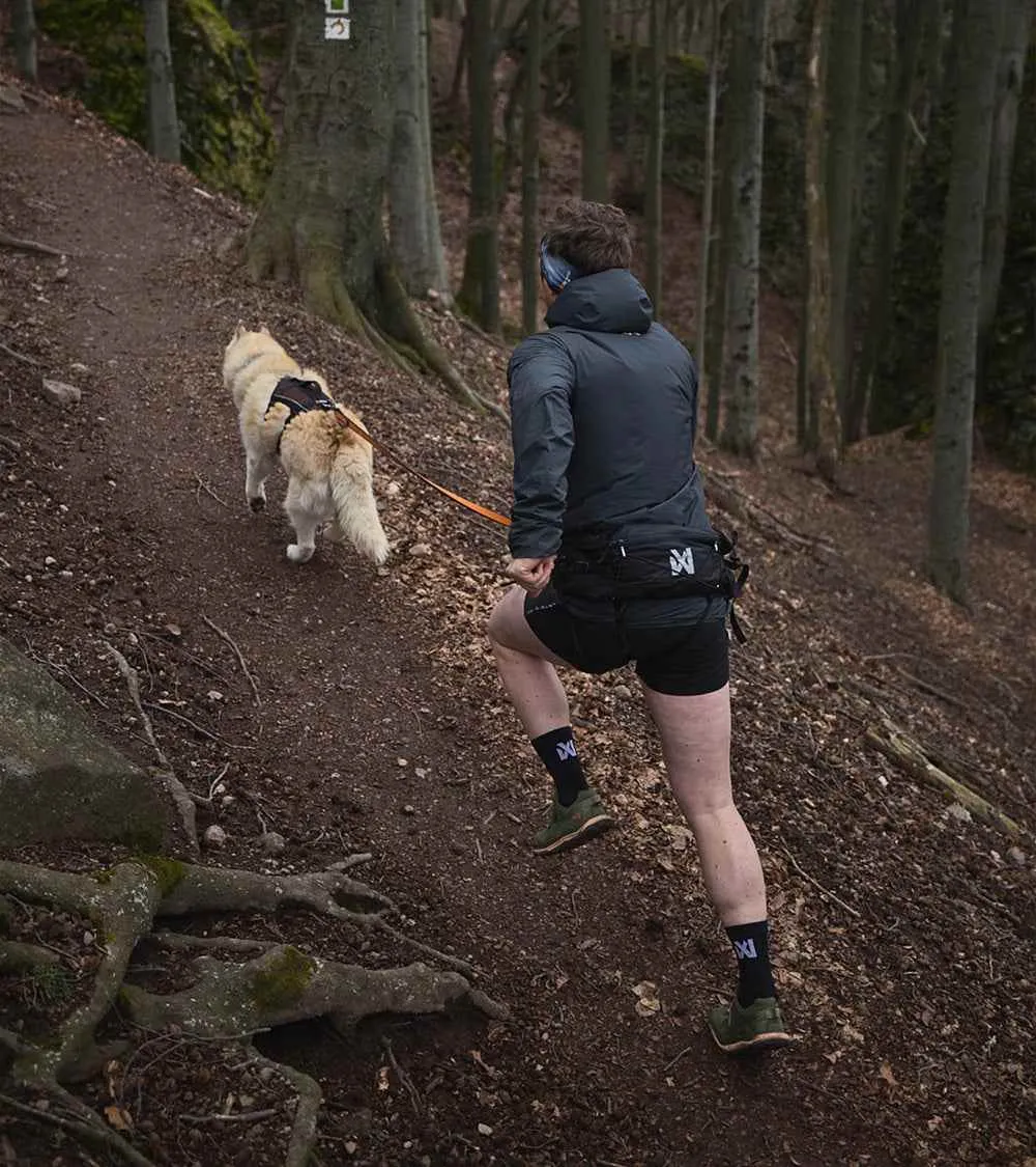Trail Light Belt