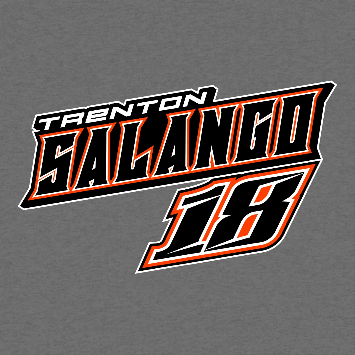 Trenton Salango Gunmetal 2025 Street Stock Champion Hoodie