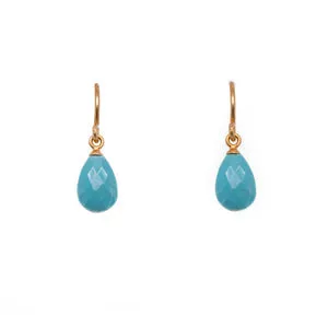 Turquoise Earring