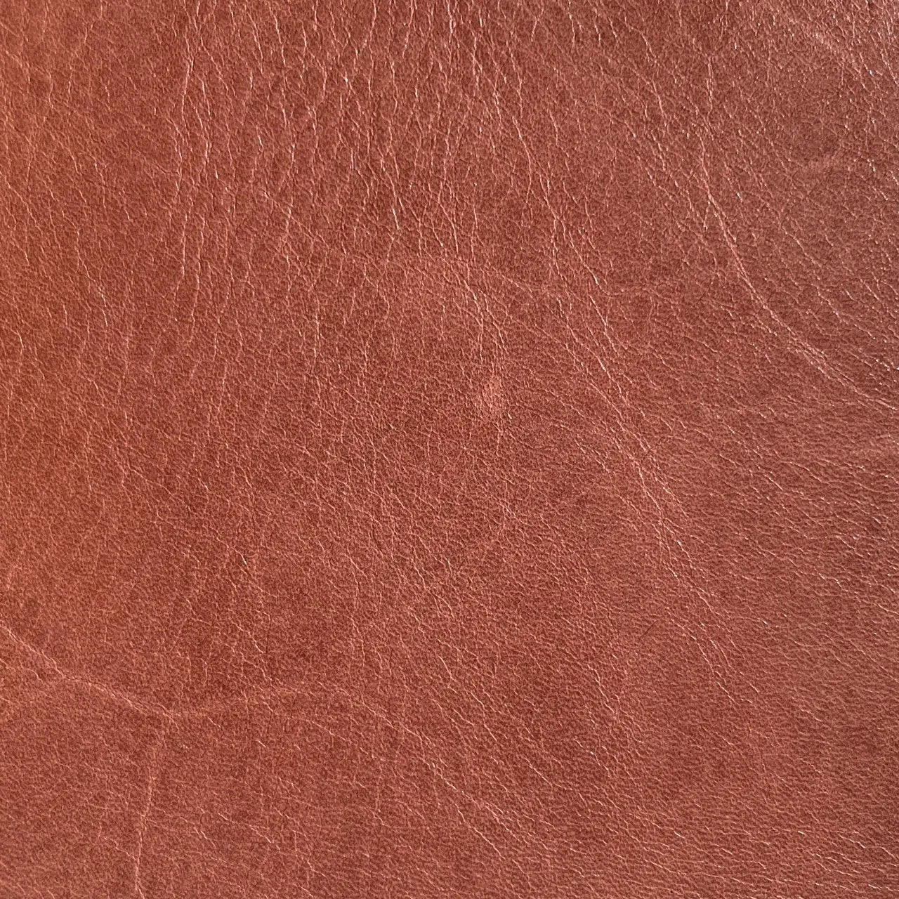 Tuscany Cow Half Sides | Tan | 1.8  -2.0mm | 10-12 sq.ft | From $225 ea.